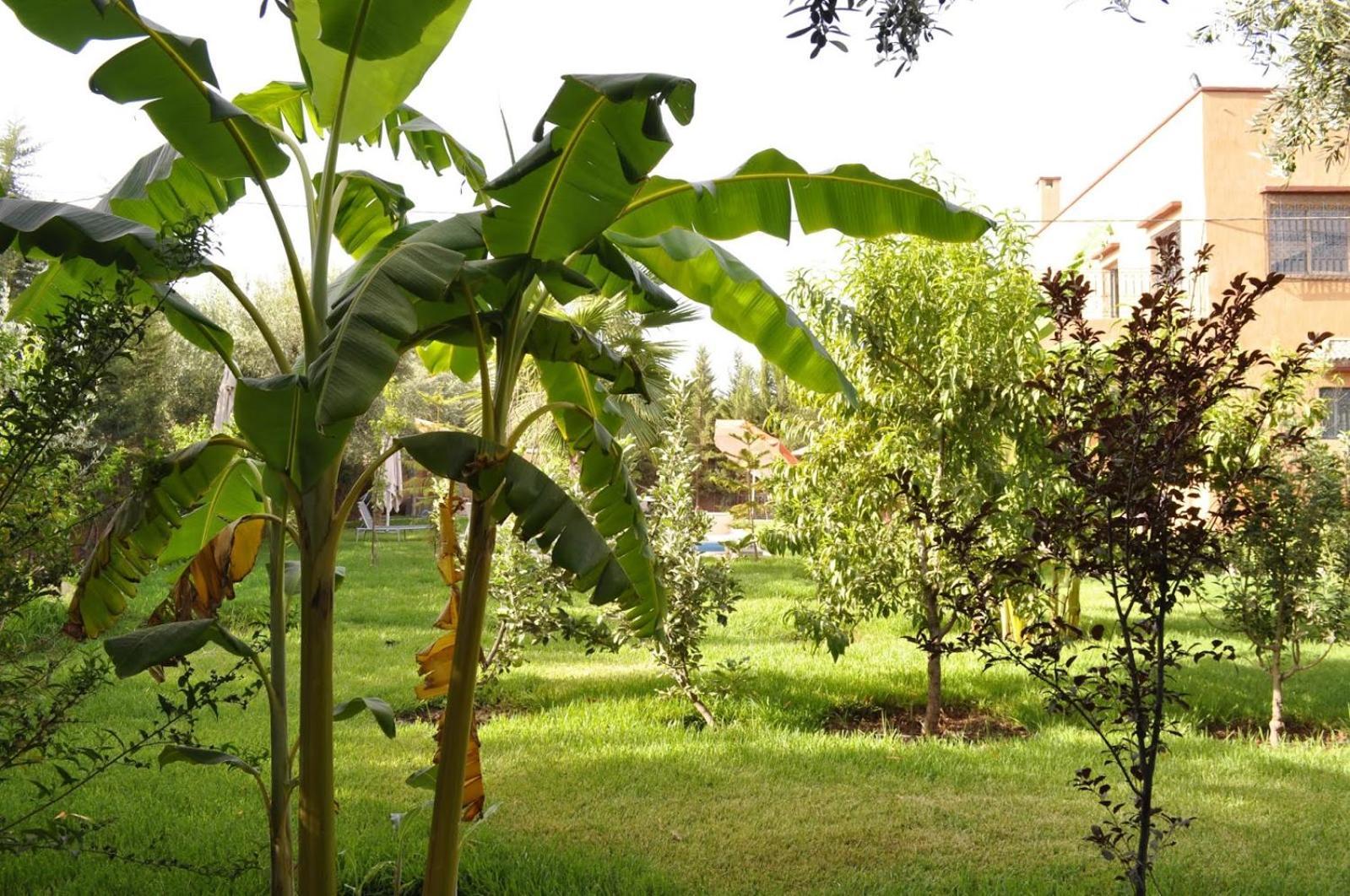 Ilafe Farmhouse, Villa avec piscine chauffée privée et Jacuzzi pour familles Marrakesh Extérieur photo